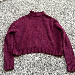American Eagle Turtleneck
